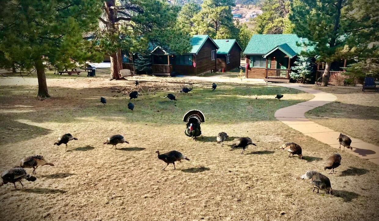 Mountain Shadows Resort Estes Park Kültér fotó