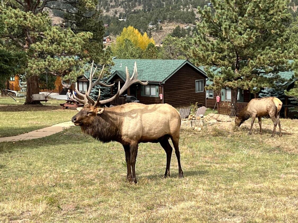 Mountain Shadows Resort Estes Park Kültér fotó