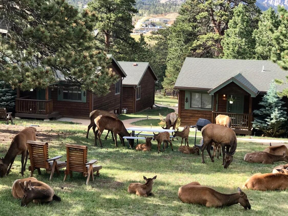 Mountain Shadows Resort Estes Park Kültér fotó
