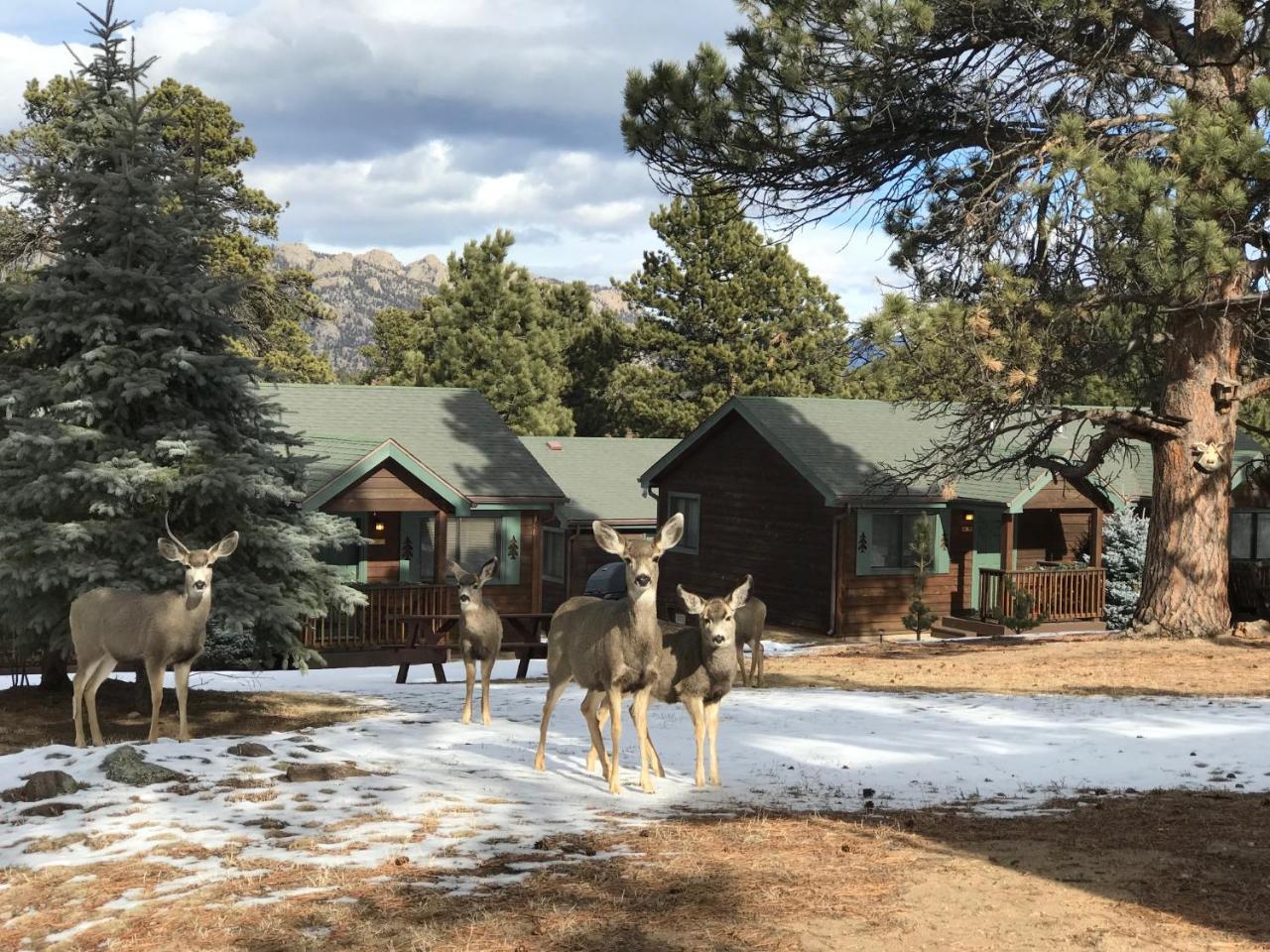 Mountain Shadows Resort Estes Park Kültér fotó